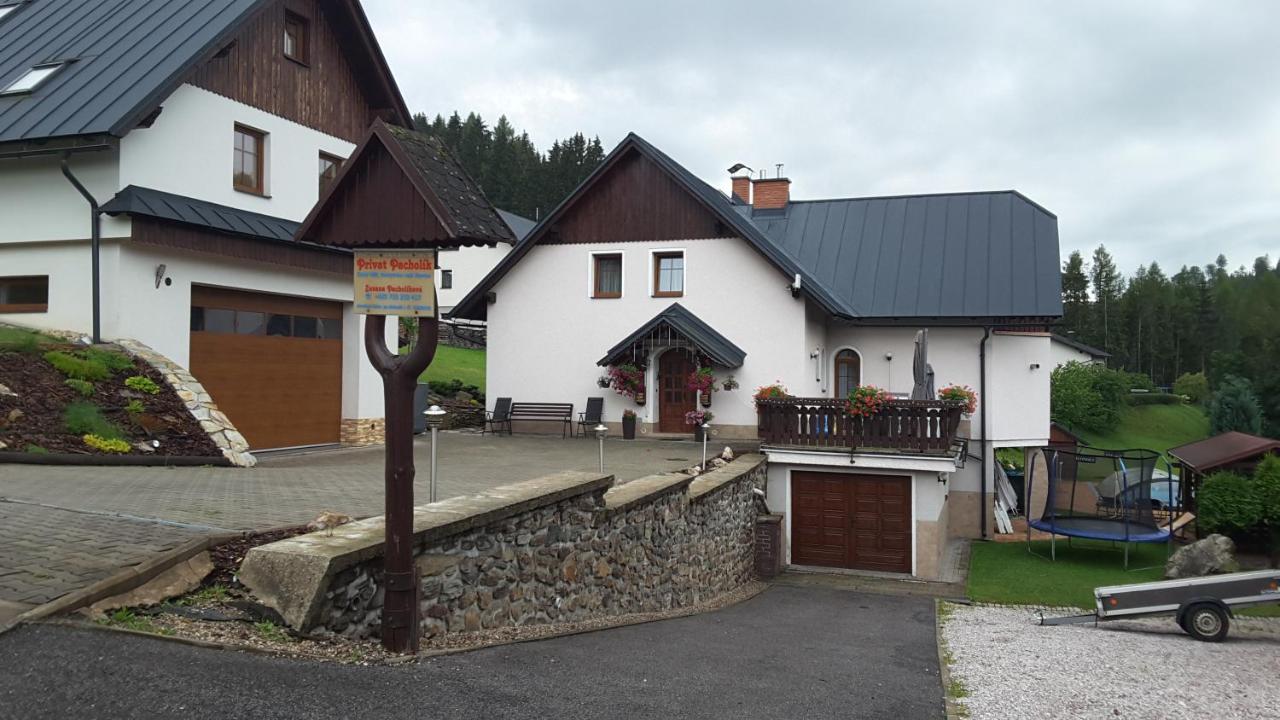 Apartmany - Privat Pacholik Rokytnice nad Jizerou Eksteriør billede